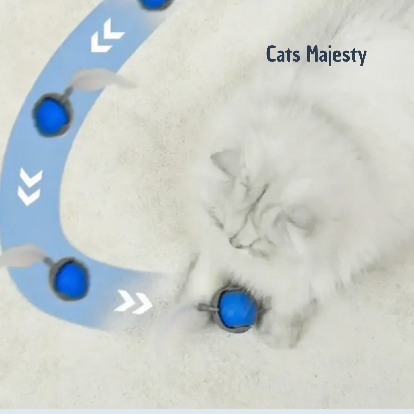 chat jouant avec le jouet automatique Runner Tail