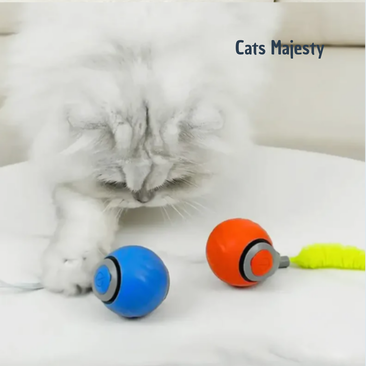 chat jouant avec le jouet automatique Runner Tail