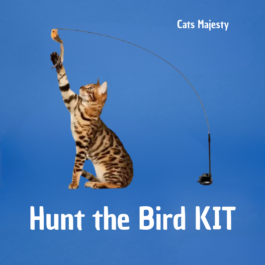 HUNT THE BIRD KIT