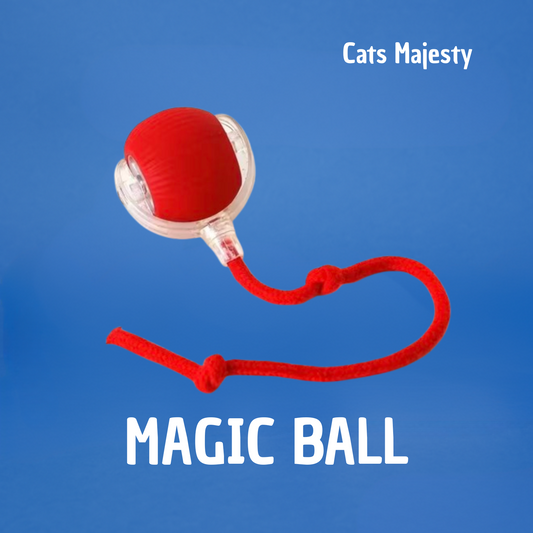 Magic Ball