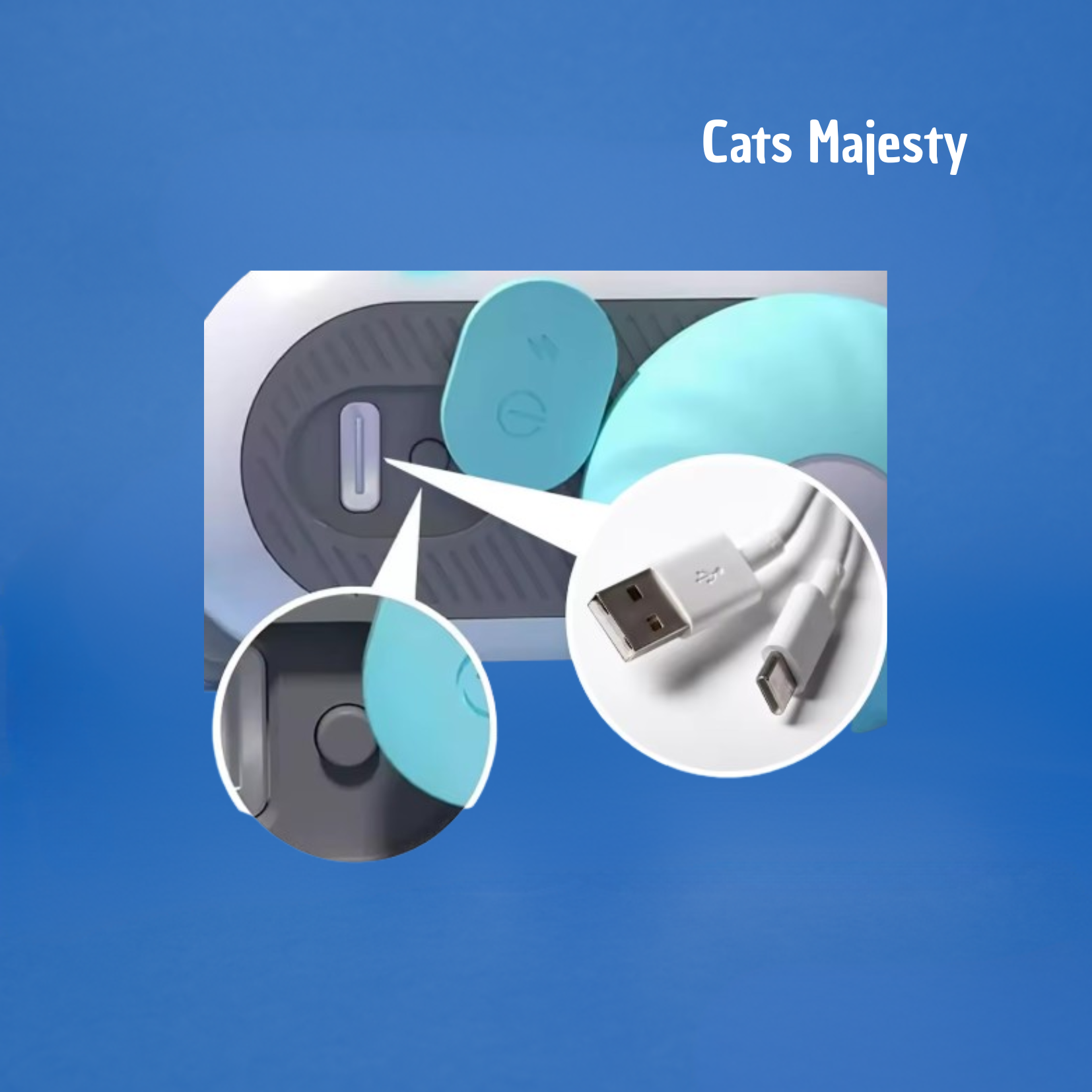 RACER TAIL. - Cats Majesty