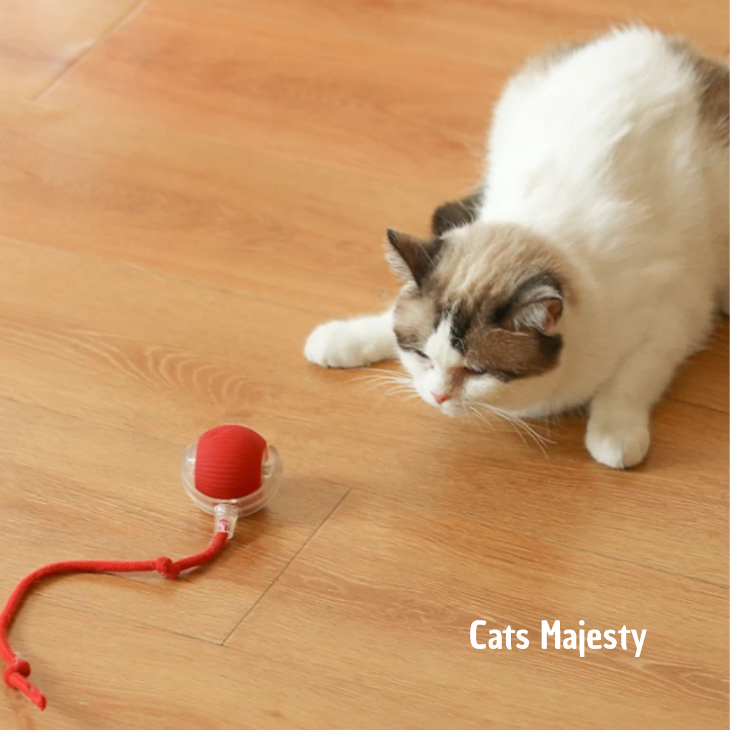 Magic Ball