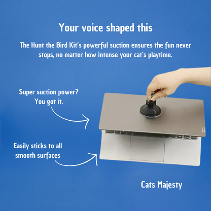 Jouet avec oiseaux pour chat, autonome 