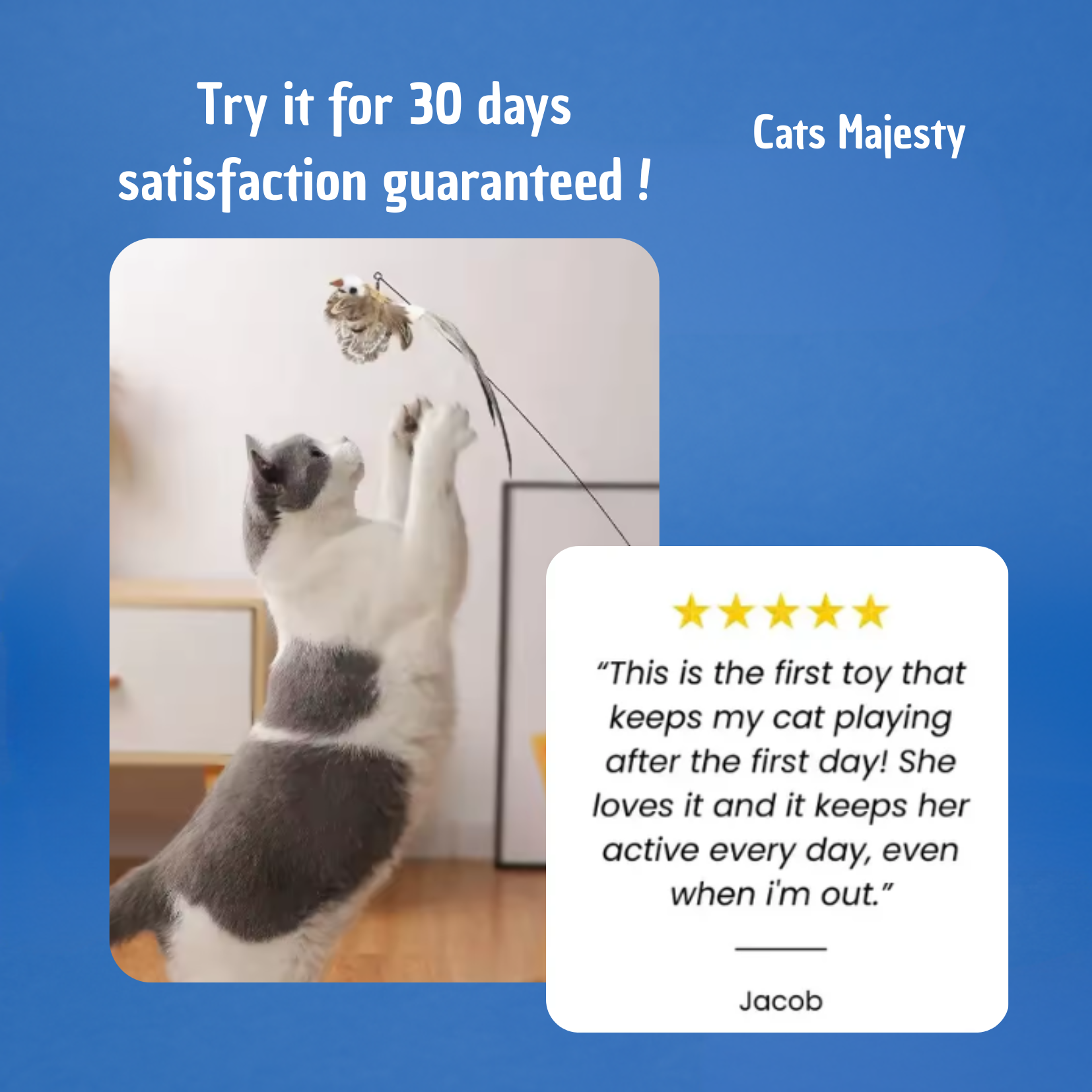 Jouet avec oiseaux pour chat, autonome 