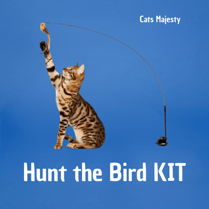 Jouet avec oiseaux pour chat, autonome 
