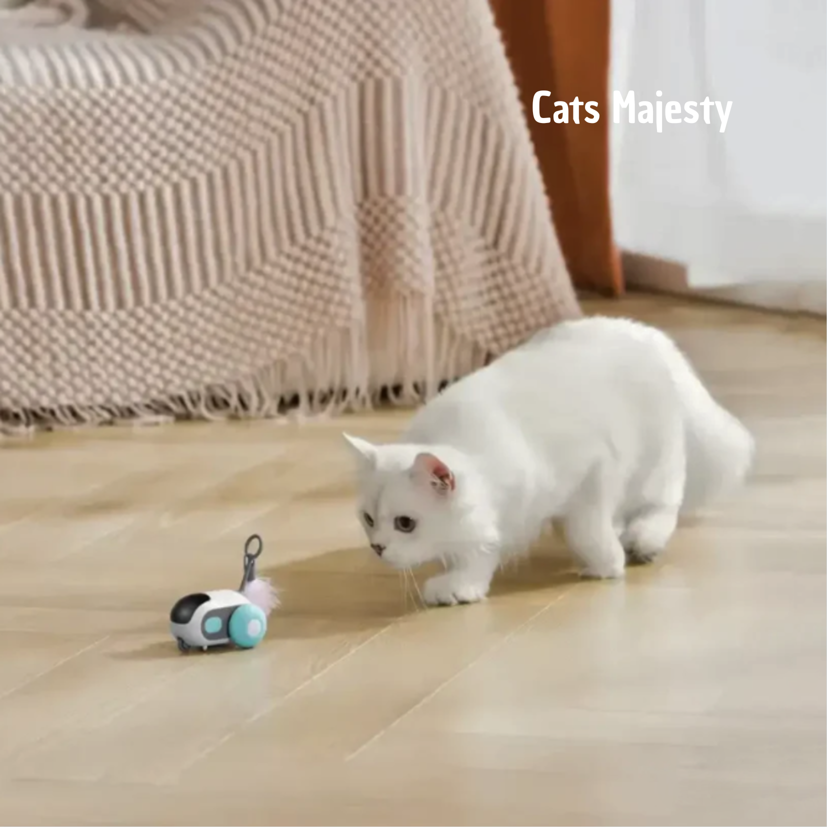 Chat jouant avec un jouet automatique, Racer Tail 