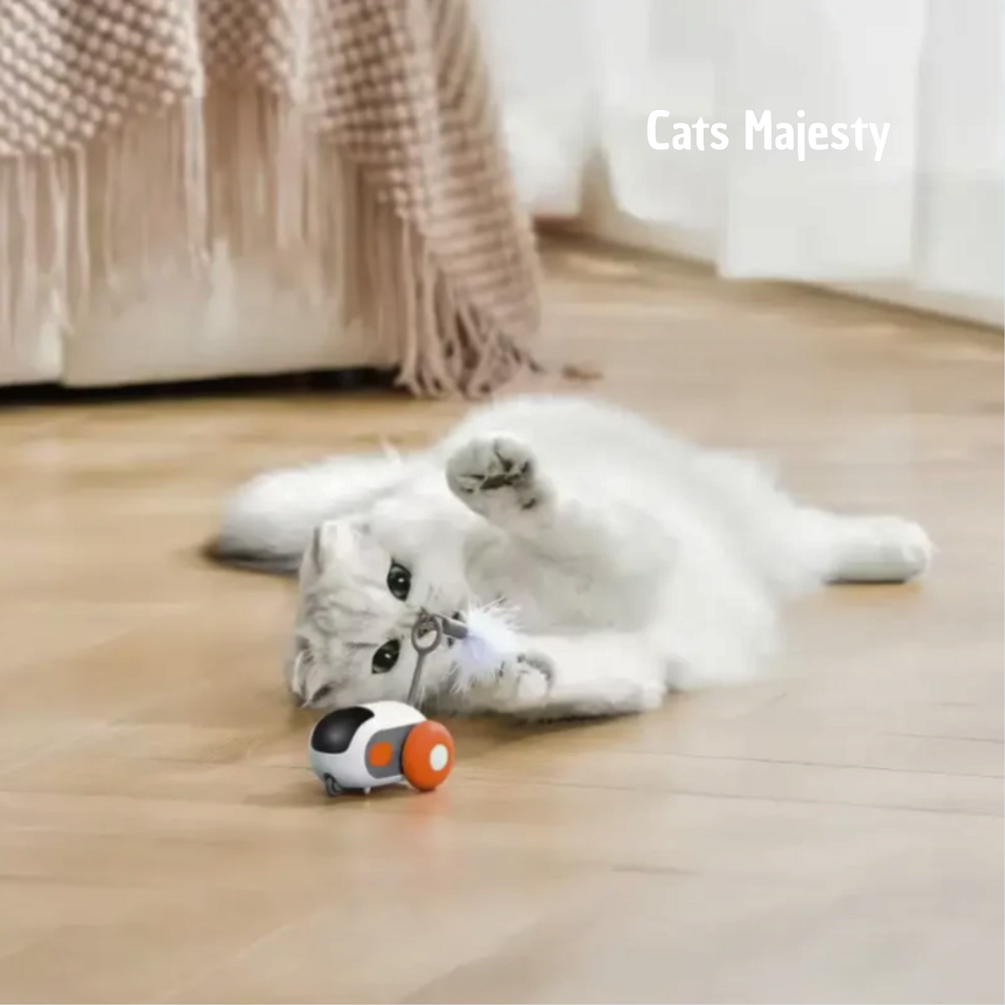 chat jouant avec un jouet automatique, Racer Tail 